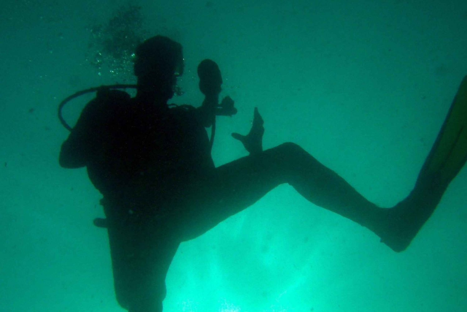Papagayo-bugten: 2 dyk på en halvdagstur med dykning