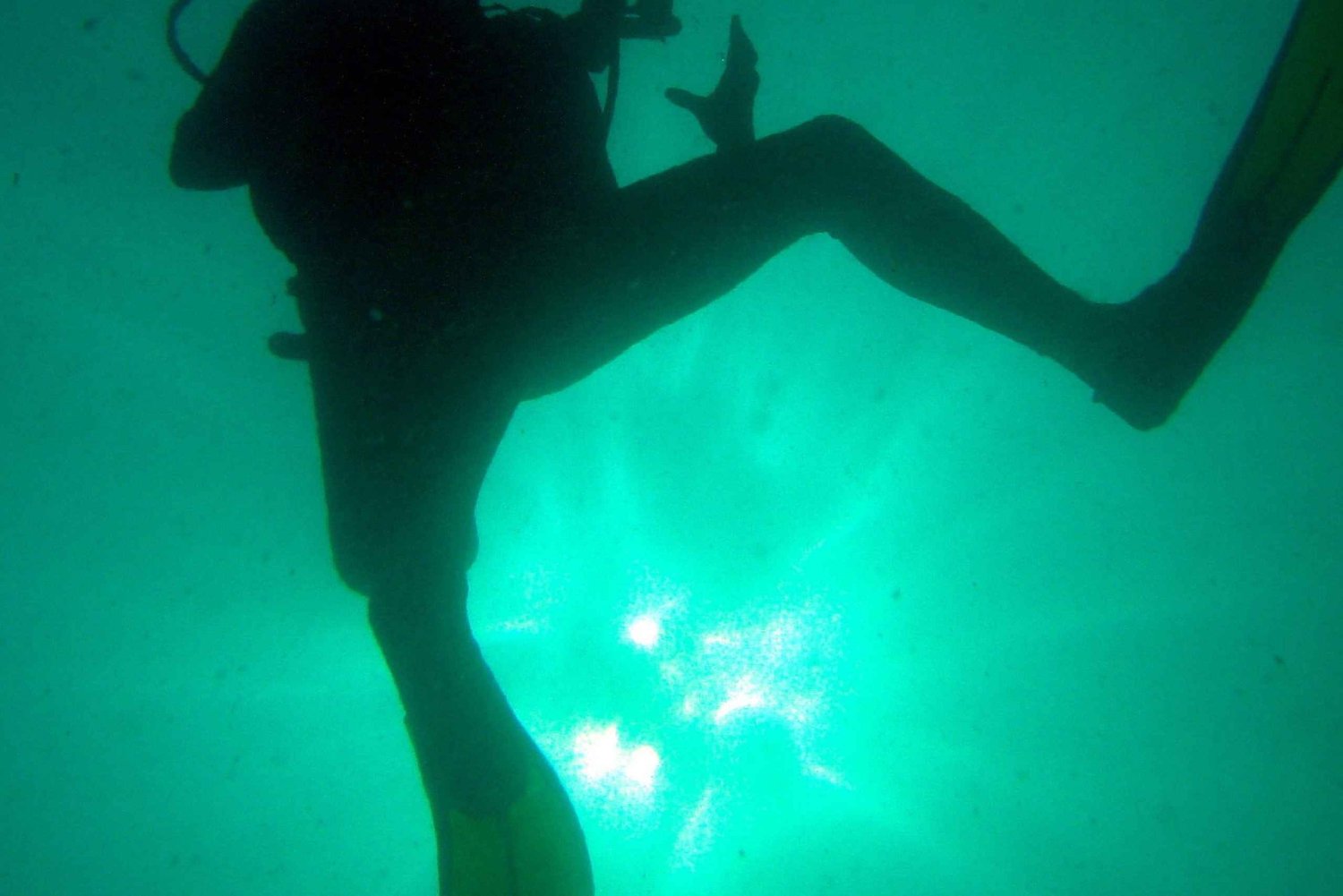 Golf von Papagayo: 2 Tauchgänge Halbtagestour zum Tauchen