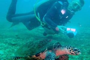 Papagayo Gulf: 2 Dives Half-Day Scuba Dive Tour