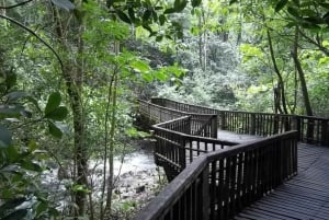 Papagayonlahti: Guanacaste Volcano and Jungle Tour: Guanacaste Volcano and Jungle Tour: Guanacaste Volcano and Jungle Tour