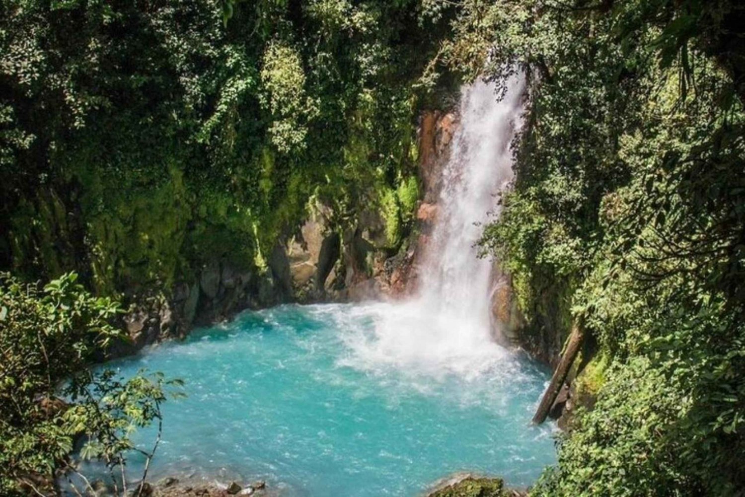 Papagayo Gulf: Rio Celeste Waterfall & Sloth Encounter Tour