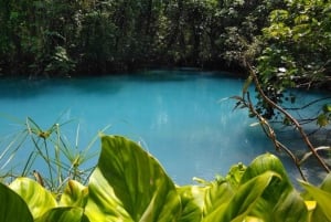 Papagayo Gulf: Rio Celeste Waterfall & Sloth Encounter Tour