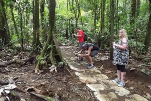 Papagayo Gulf: Rio Celeste Waterfall & Sloth Encounter Tour