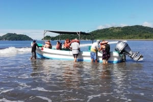 Paquera: Excursão de mergulho com snorkel na Ilha Tortuga