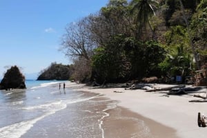 Paquera: Excursão de mergulho com snorkel na Ilha Tortuga