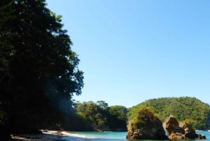 Paquera: Excursão de mergulho com snorkel na Ilha Tortuga