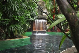 Passe de um dia para as Termas do Paraíso