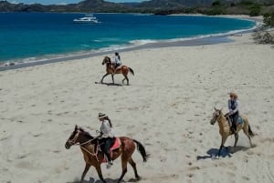 Playa Conchal/Brasilito: excursão combinada de quadriciclo e passeio a cavalo