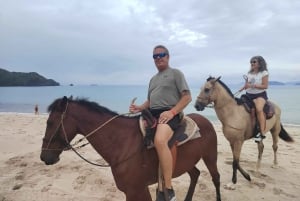 Playa Conchal/Brasilito: excursão combinada de quadriciclo e passeio a cavalo