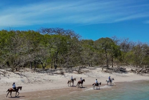 Playa Conchal/Brasilito: excursão combinada de quadriciclo e passeio a cavalo