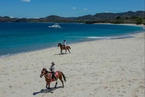 Playa Conchal/Brasilito: excursão combinada de quadriciclo e passeio a cavalo