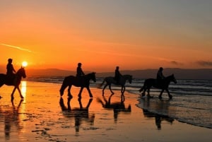 Playa Conchal : Randonnée à cheval - Visite privée au coucher du soleil pour tous