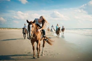 Playa Conchal : Randonnée à cheval - Visite privée au coucher du soleil pour tous