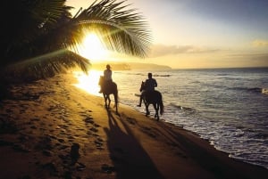 Playa Conchal : Randonnée à cheval - Visite privée au coucher du soleil pour tous