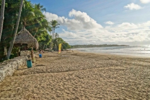 Playa Conchal : Randonnée à cheval - Visite privée au coucher du soleil pour tous