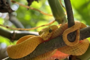 Playa del Coco : Découverte du paresseux et visite du Rio Celeste