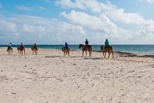 Playa Flamingo: Ridning på stranden