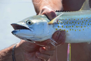 Playa Mantas: Strandfisketur