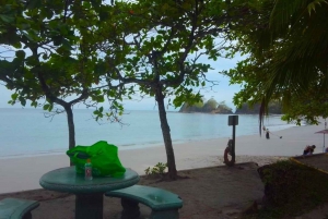 Playa Mantas : Visite guidée matinale de plongée avec tuba près de la plage de Jaco