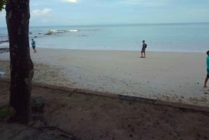 Guided Snorkeling Tour Near Jaco Beach - White Sand Beach.