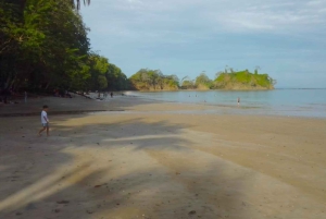 Playa Mantas: Aamuisin opastettu snorklausretki lähellä Jacon rantaa