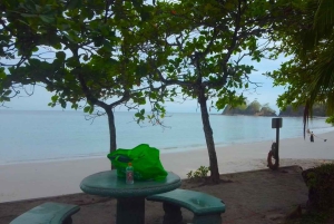 Playa Mantas: Aamuisin opastettu snorklausretki lähellä Jacon rantaa