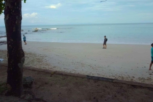 Playa Mantas: Aamuisin opastettu snorklausretki lähellä Jacon rantaa