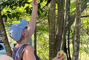 Playa Mantas: Aamuisin opastettu snorklausretki lähellä Jacon rantaa