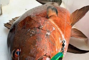 Playa Mantas: aluguer de mini barco de pesca privado