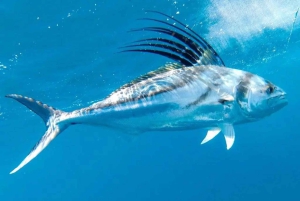 プラヤ・マンタス：プライベートミニフィッシングボートレンタル