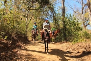 Playa Matapalo: Scenic Horseback Riding Adventure