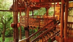 Playa Nicuesa Rainforest Lodge