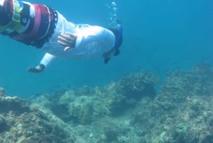Playa Uvita: Excursão de Snorkeling à Ilha Caño com Almoço