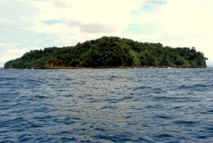 Playa Uvita: Excursão de Snorkeling à Ilha Caño com Almoço