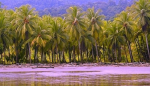 Playa Ventanas