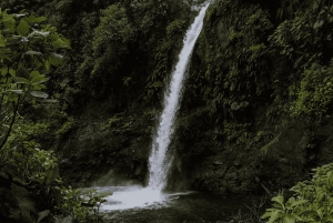 Poas kaffetur, La Paz-fossen og Poas-vulkanen