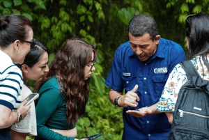 Poas kaffetur, La Paz-fossen og Poas-vulkanen
