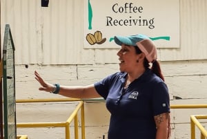Poas Coffee-tur, La Paz-vandfaldet, Grecia og Sarchí-håndværk