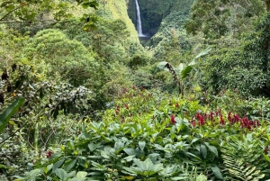 Cratere attivo del vulcano Poas, cascata la Paz e birdwatching
