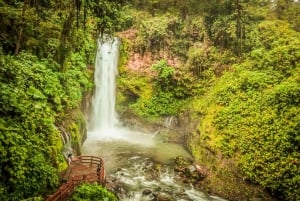 Vulkan Poás, Kaffeeplantage & La Paz Wasserfall-Gärten