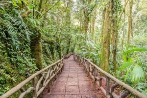 Poás Volcano, Coffee Plantation & La Paz Waterfall Gardens
