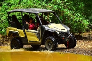 Private 4 hour Buggy Tour Beach, Ocean Views & Waterfall