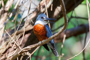 Privater Avellanas Wildlife Walk