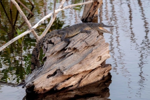 Privater Avellanas Wildlife Walk