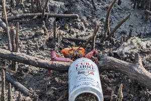 Privater Avellanas Wildlife Walk