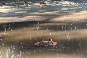 Privater Avellanas Wildlife Walk