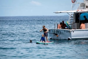 Privat bådcharter med alt inkluderet, Playa Flamingo
