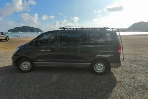 Частный прямой трансфер SJO ↔ пляж Хако/Лос-Суэнос