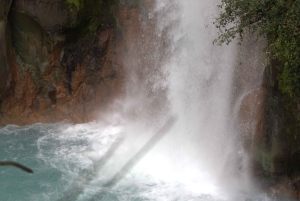 Privat fottur i nasjonalparken Volcán Tenorio – Río Celeste