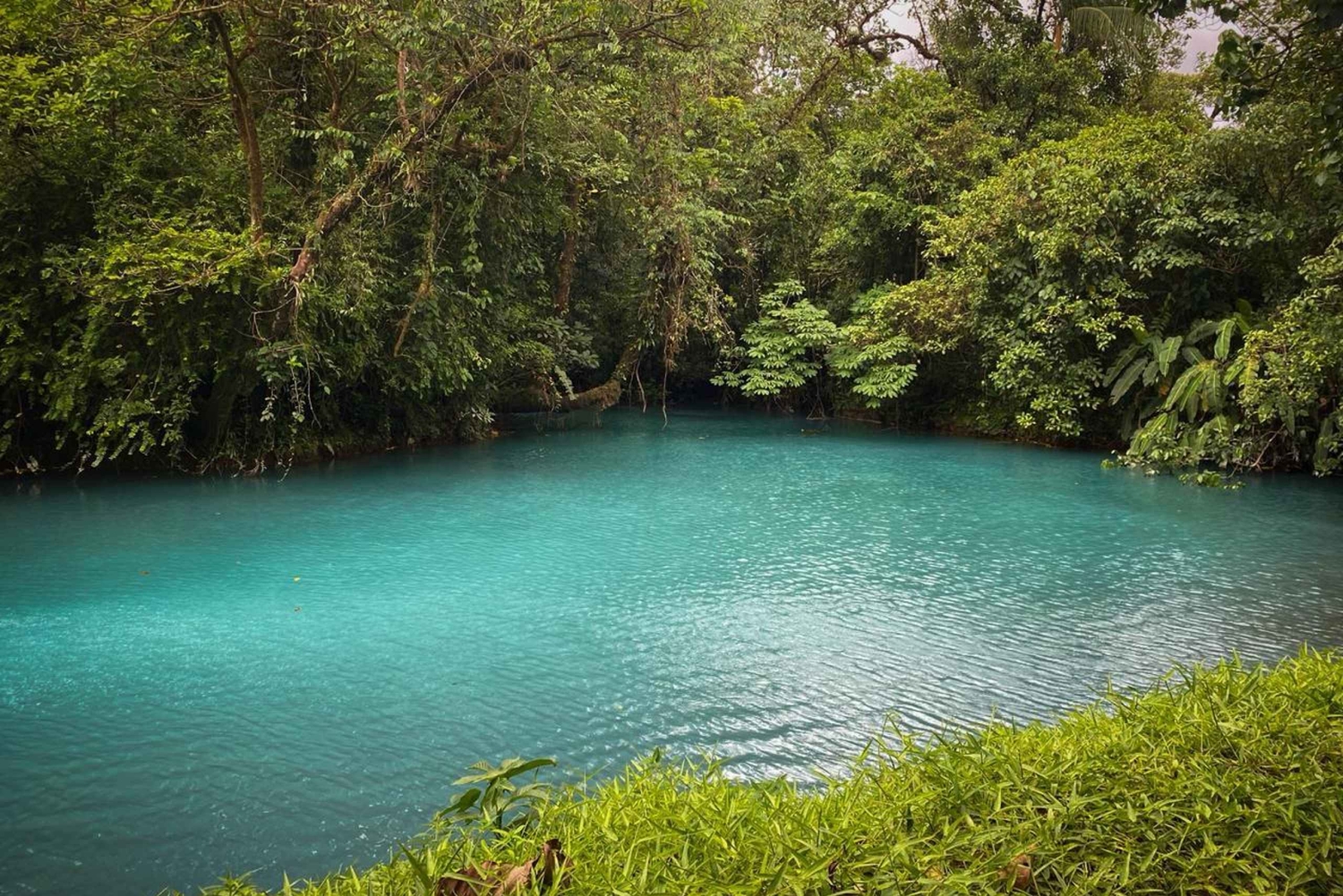 Randonnée privée sur les sentiers de la rivière Celeste, volcan Tenorio